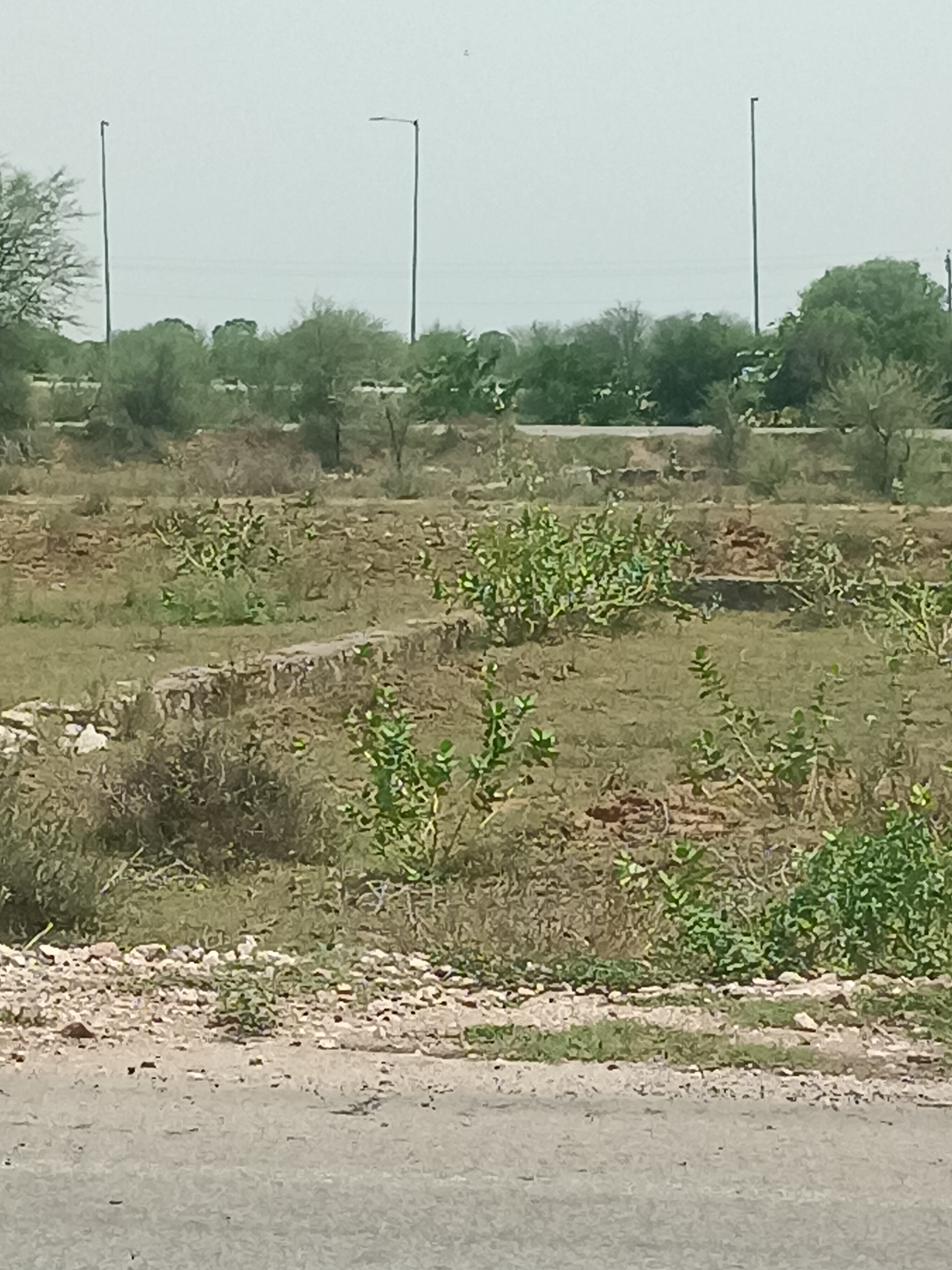 Jda approved ring road project -Ring Road -Jaipur