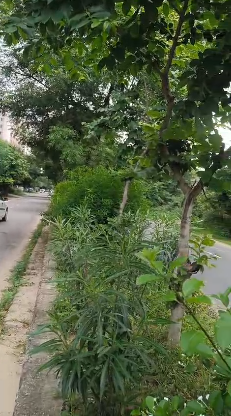 3 BHK Flat for Sale in Pratap Nagar Jaipur-Pratap Nagar-Jaipur